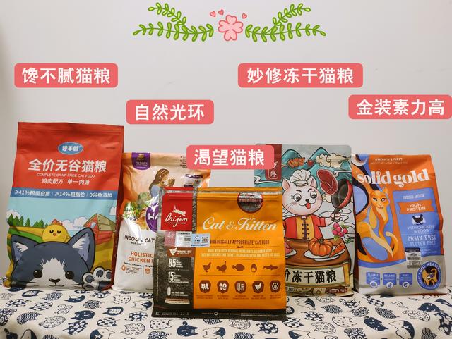 世界上十大最漂亮的猫，世界上十大最漂亮的猫品种有哪些（养猫“首选”这6种猫）