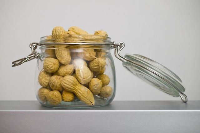 新鲜花生的营养价值及功效与作用，鱿鱼的功效与作用及营养价值（心血管疾病风险降低13%）