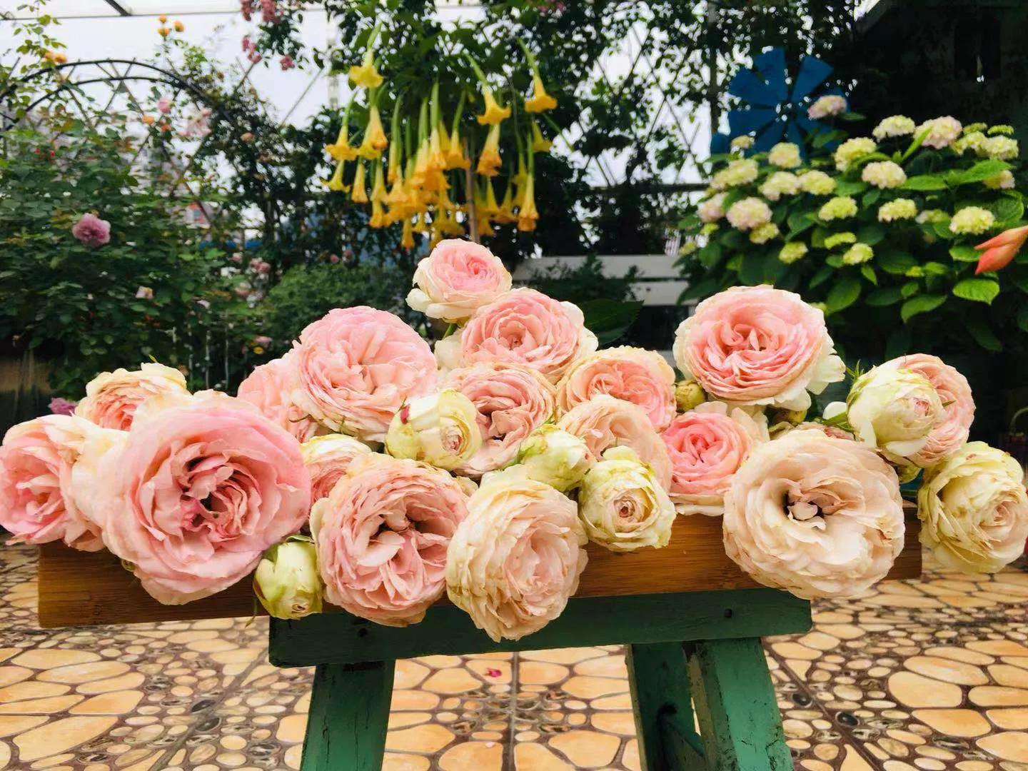 特殊工种岗位证明材料（怎样办理特殊工种提前退休）