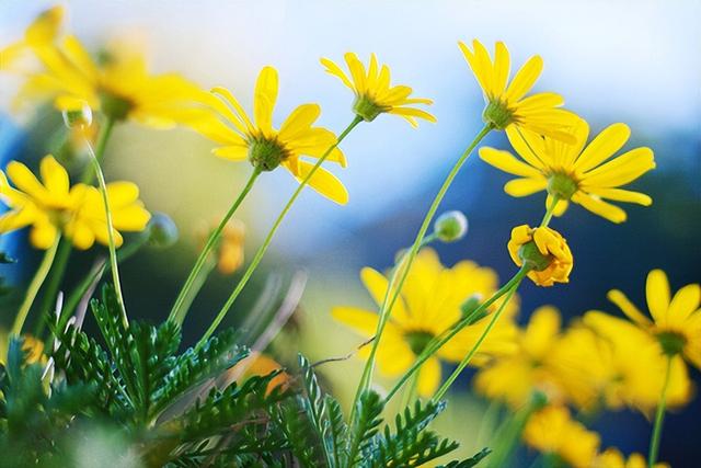 为啥男生一见面都想接吻，男人见面就喜欢亲吻是什么情况（是男人深爱女人的证明）