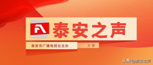 泰安新泰市清音公园：残荷之美 如诗如画