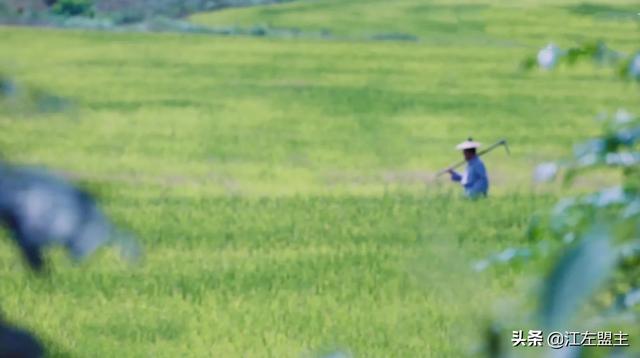 采菊东篱下悠然见南山全诗，在那个世外桃源里