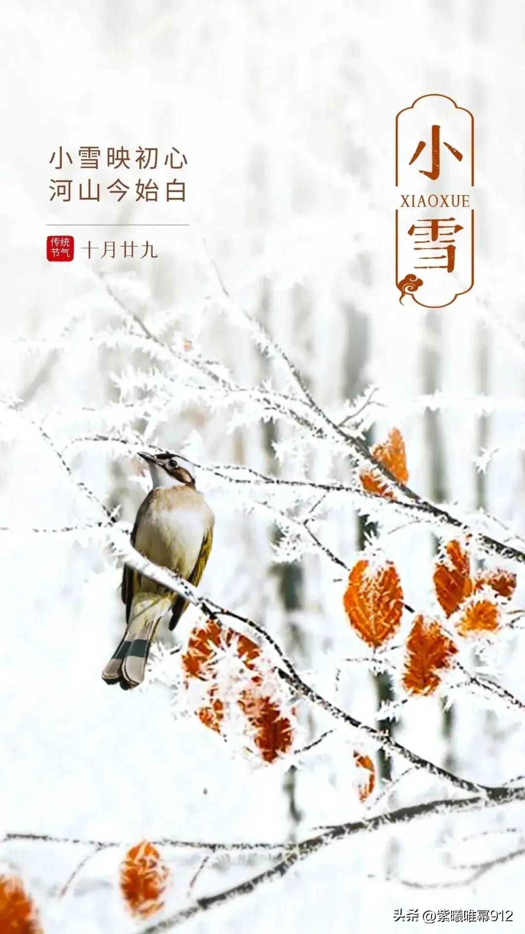 一句简短的雪景句子，雪景的句子唯美简短（那些关于下雪的文案）