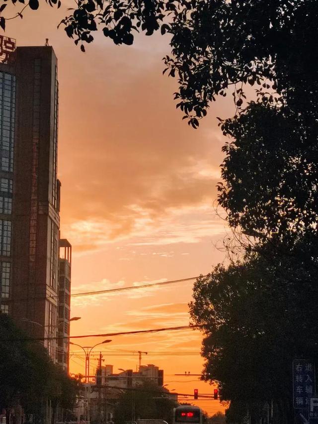 如何做区域代理，如何做区域代理业务（怎么月入六位数的）