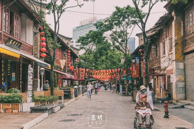 云南最好吃的野生菌在哪，中国最浪漫城市非她莫属