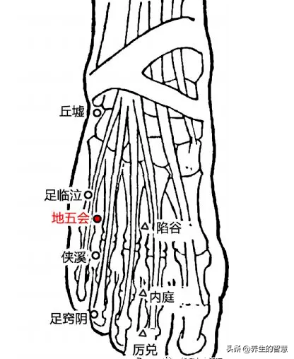 胆经的准确位置图，真人胆经穴位运行路线图（最完整的经络笔记）