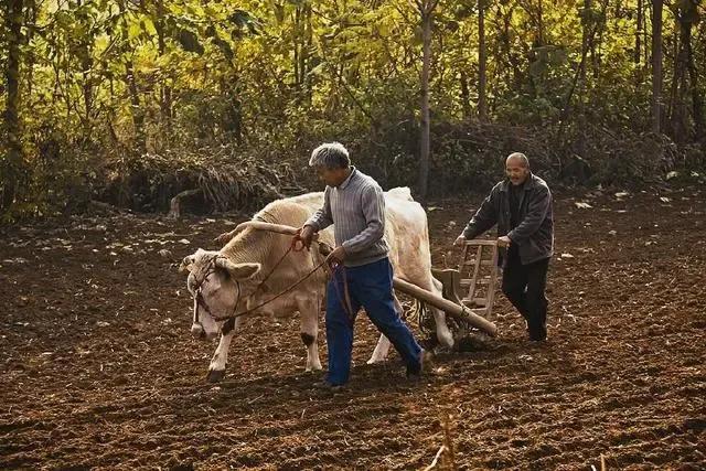 牲口是什么意思，牲口就是农业机械