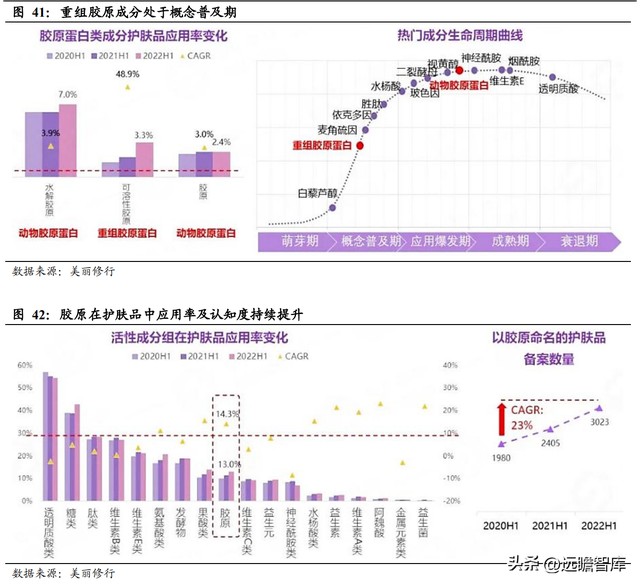 三型胶原蛋白导入危害，三型胶原蛋白导入的效果维持多长时间（析胶原产业链机理）