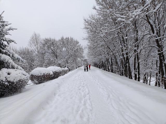 小兴安岭冰雪旅游攻略，冰雪大世界，首选在伊春