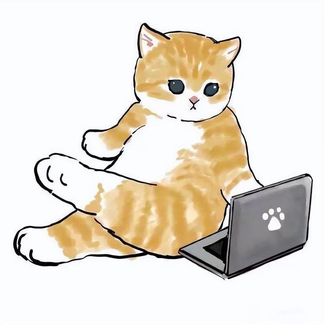 公猫绝育的必要流程是什么，关于猫咪绝育的这些事