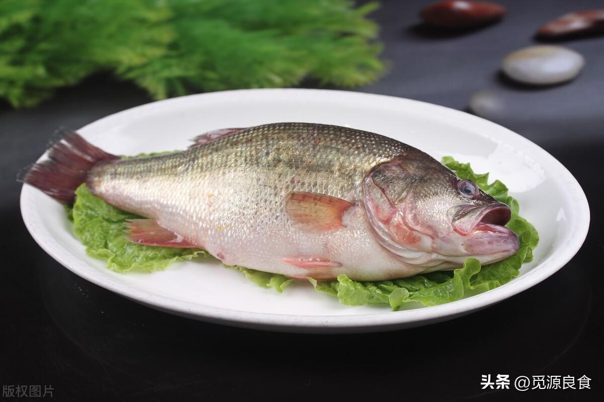 海鲈鱼价格一斤多少钱图片