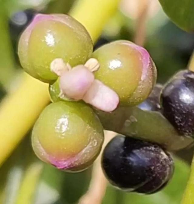 灵魂相似的人一旦相逢，灵魂相似的人一旦相逢是知心朋友（总有一天会在路上相逢）