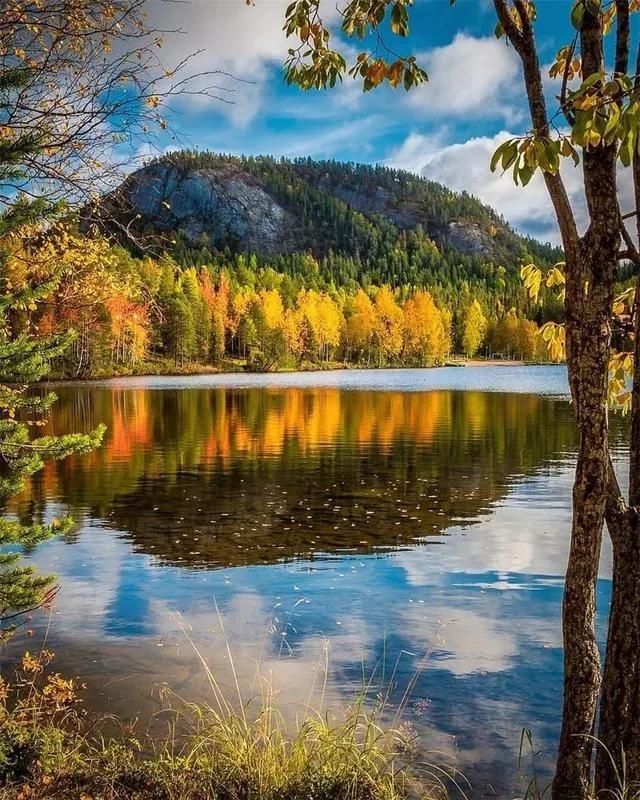 秋天是一个什么样的季节，秋天是一个什么样的季节写一段话（分享绝美秋色：叠翠流金）
