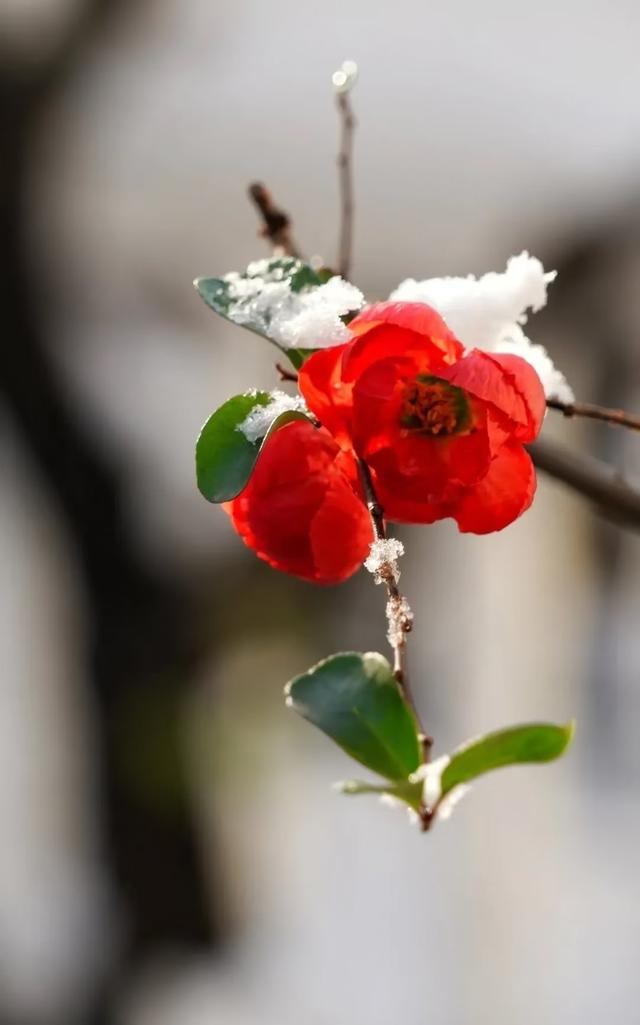 优美散文随笔，优美散文随笔日记450（散文：年）