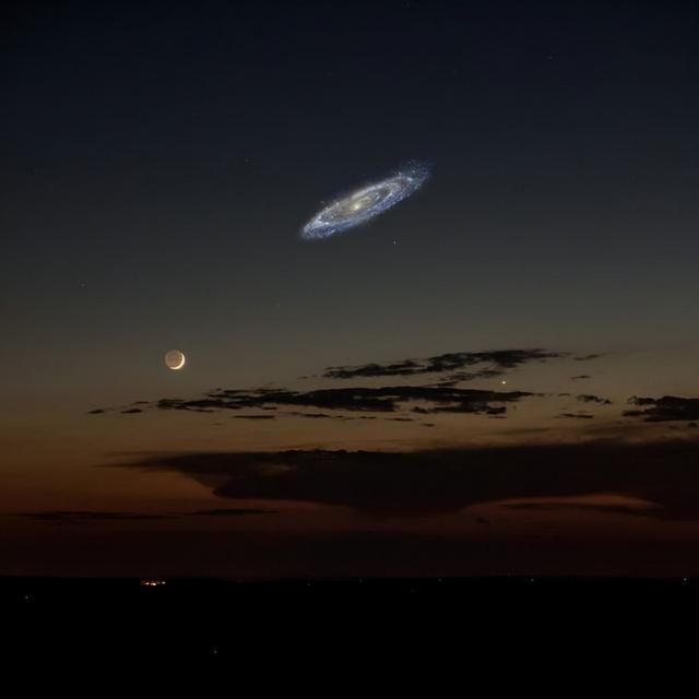 世界灭绝的动物名单，世界灭绝的动物名单网站（30张活久未见的照片）