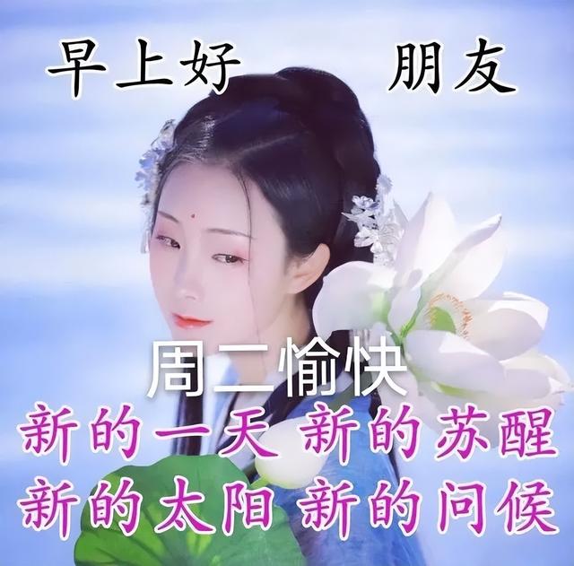 帮助别人正能量的句子，帮助别人正能量的句子大全（早安心语，正能量坚强语录句子）