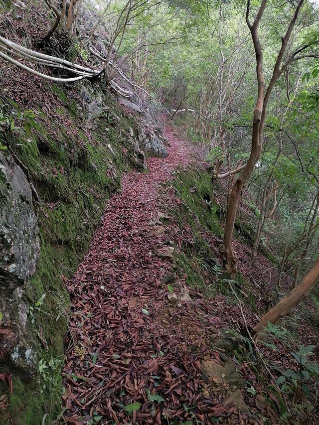 大自然的搬运工，大自然的搬运工是什么动物（大自然的搬运工是什么动物日记）