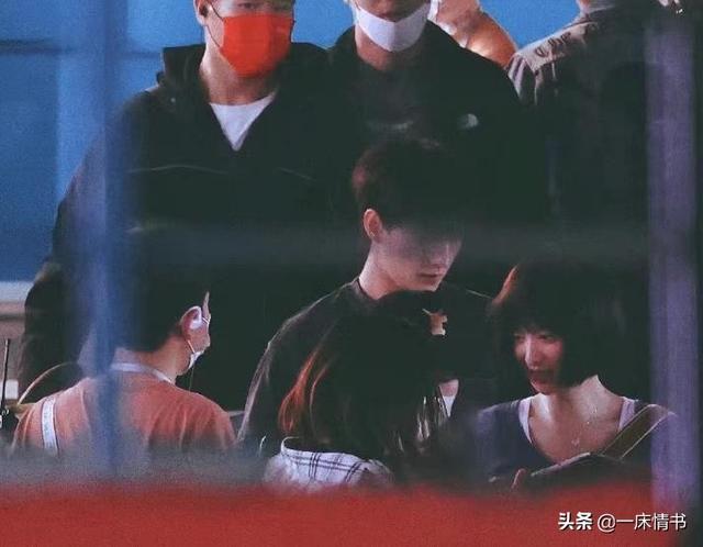 友情客串是什么意思，友情出演和友情客串是什么意思（她凭什么成为顶流收割机）