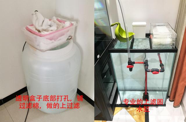 鱼缸水泵的正确使用方法，鱼缸潜水泵怎么用（自来水养鱼快速除氯气）