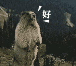 土拨鼠尖叫表情包，土拨鼠尖叫表情包在哪里下啊（土拨鼠暴走大叫的表情包）