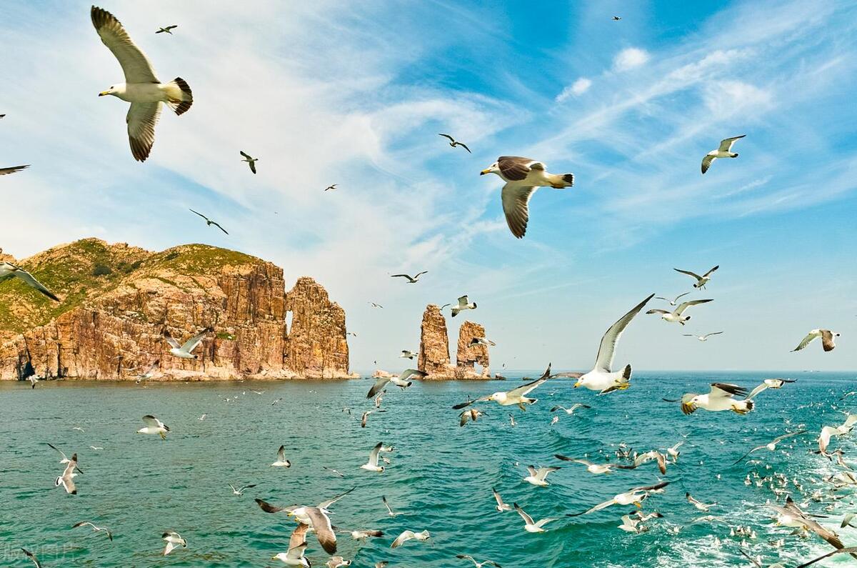 山东旅游，必须去的10个地方，是哪里？