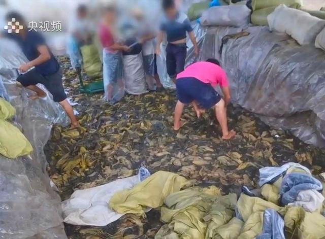 冻肉怎么做酸菜白肉，冻肉怎么做酸菜白肉好吃（传承了3000年的老坛酸菜）