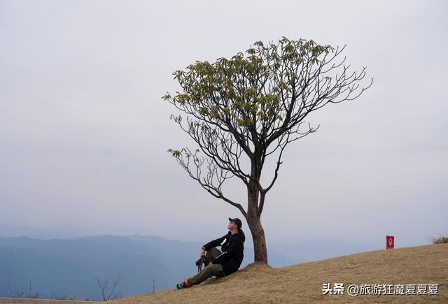 玻璃桥旅游景点在哪里，张家界玻璃桥著名旅游景点（屹立在川东的地质公园）