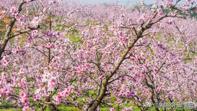 六安旅游景点哪里好玩，六安必游景点（自驾800公里大别山风景道必去之地）