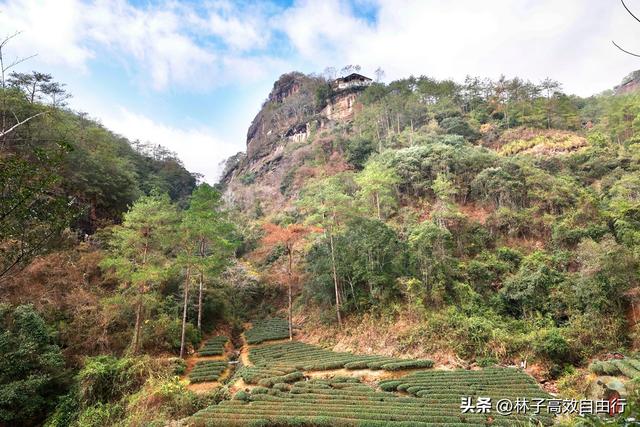 武夷山岩茶是什么茶，武夷山岩茶是什么茶?崇亮传播茶文化（我眼中的武夷山）