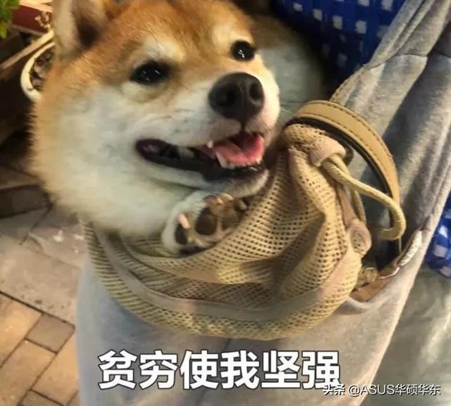 华为手机碎屏险怎么买，华为手机碎屏险怎么买划算（为啥我们修不起手机了）