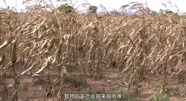 又霸气又高冷的图片 在这座欲望的城市，你是我最后的信仰，又霸气又高冷的图片带字（灾难成现实才知道后悔）