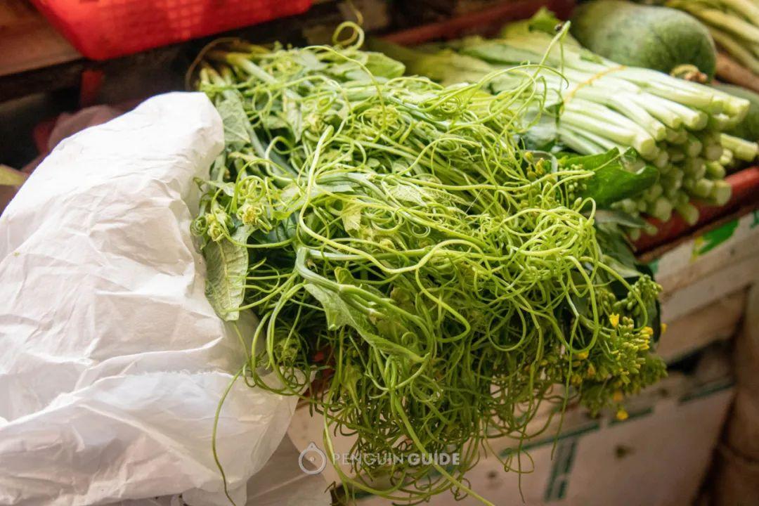 上海青菜的营养与功效,上海青的功效与作用及营养价值(当一个南方人在