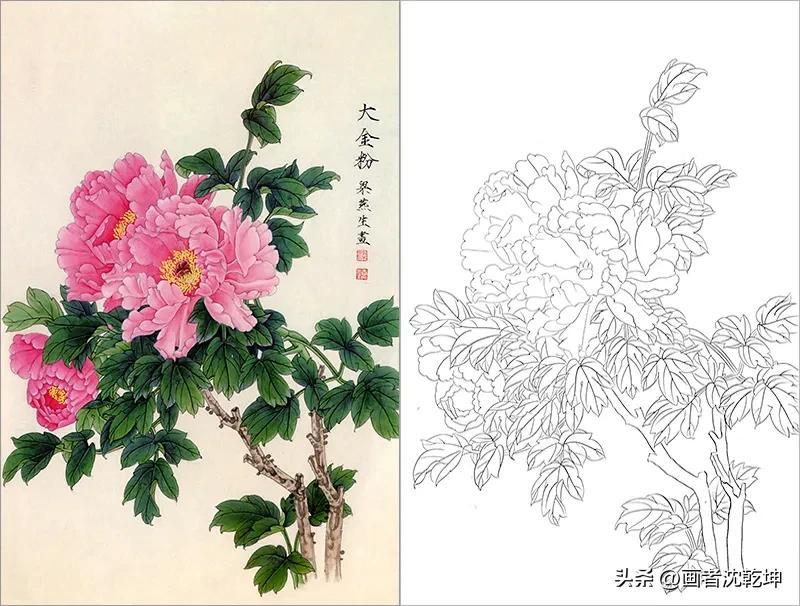 牡丹花工笔画图片(梁燕生工笔牡丹白描底稿6幅) - 赤虎壹号