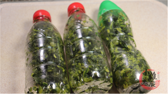 酸菜的制作方法，如何制作酸菜（只需要盐和三个矿泉水瓶）