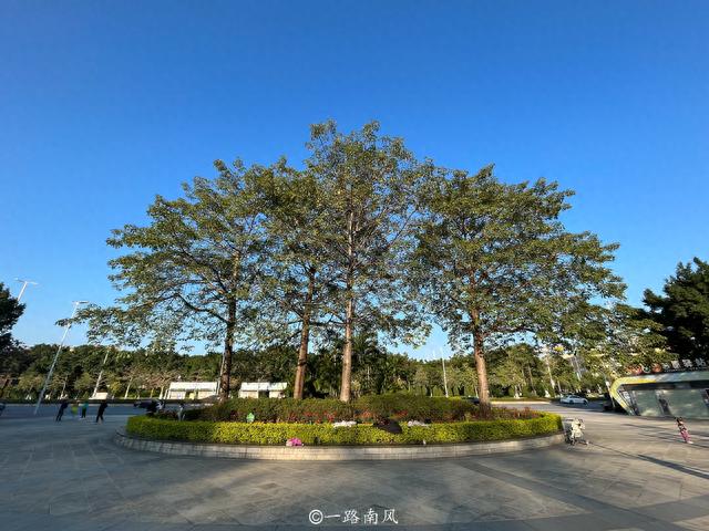 广州“偏远”公园，环境很好，但老广较少，一直免费开放