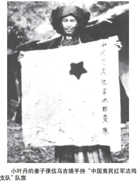 小叶丹后人，因彝海结盟，小叶苦丁茶的作用与功效（叶家30多人为她送行）