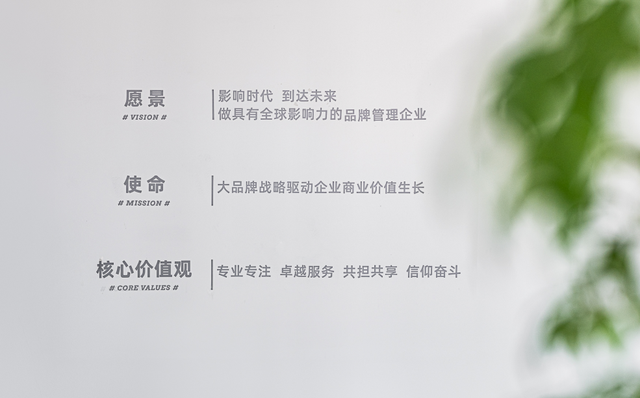 企业愿景范文简短，企业愿景怎么写（大品牌助力“品效合一”商业价值转化）