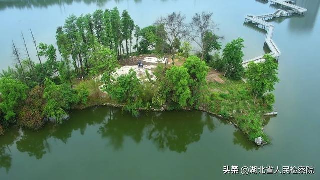 开窗放入大江来，开窗放入大江来寓意（开窗放入大江来.这句诗有什么寓意）