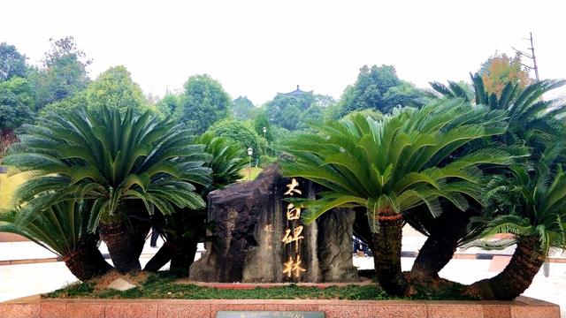 铁杵磨成针的故事，铁杵磨成针的故事原文（李白“铁杵磨成针”的故事出自何处）