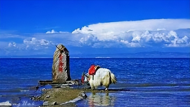 青海旅游景点大全，青海省十大旅游景点排名大全（出门游玩青海这六大景点不容错过）