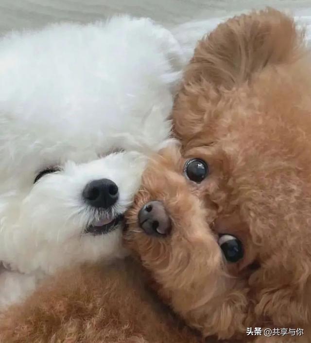 美丽背景图片  ❤️，美丽背景图片大全 唯美 梦幻（一组高级感满满的微信女头）