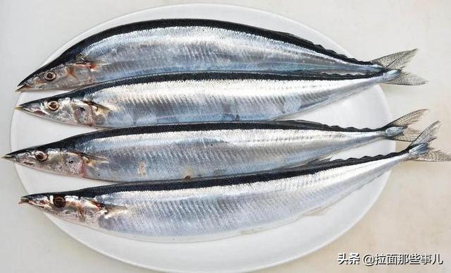 沙丁鱼怎么做好吃，沙丁鱼做法（少吃面食和猪肉）