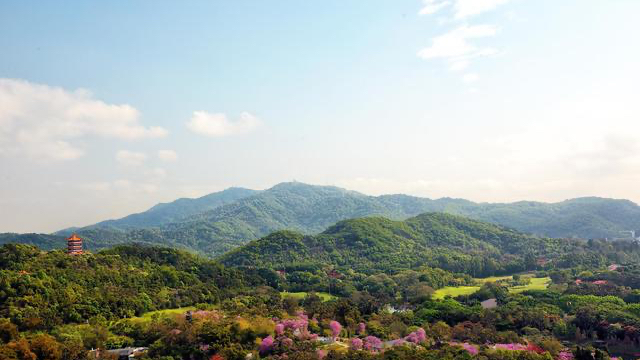 洛阳旅游景点大全，去洛阳旅游必看的五大景点（景区好评率、舒适度接近满分）