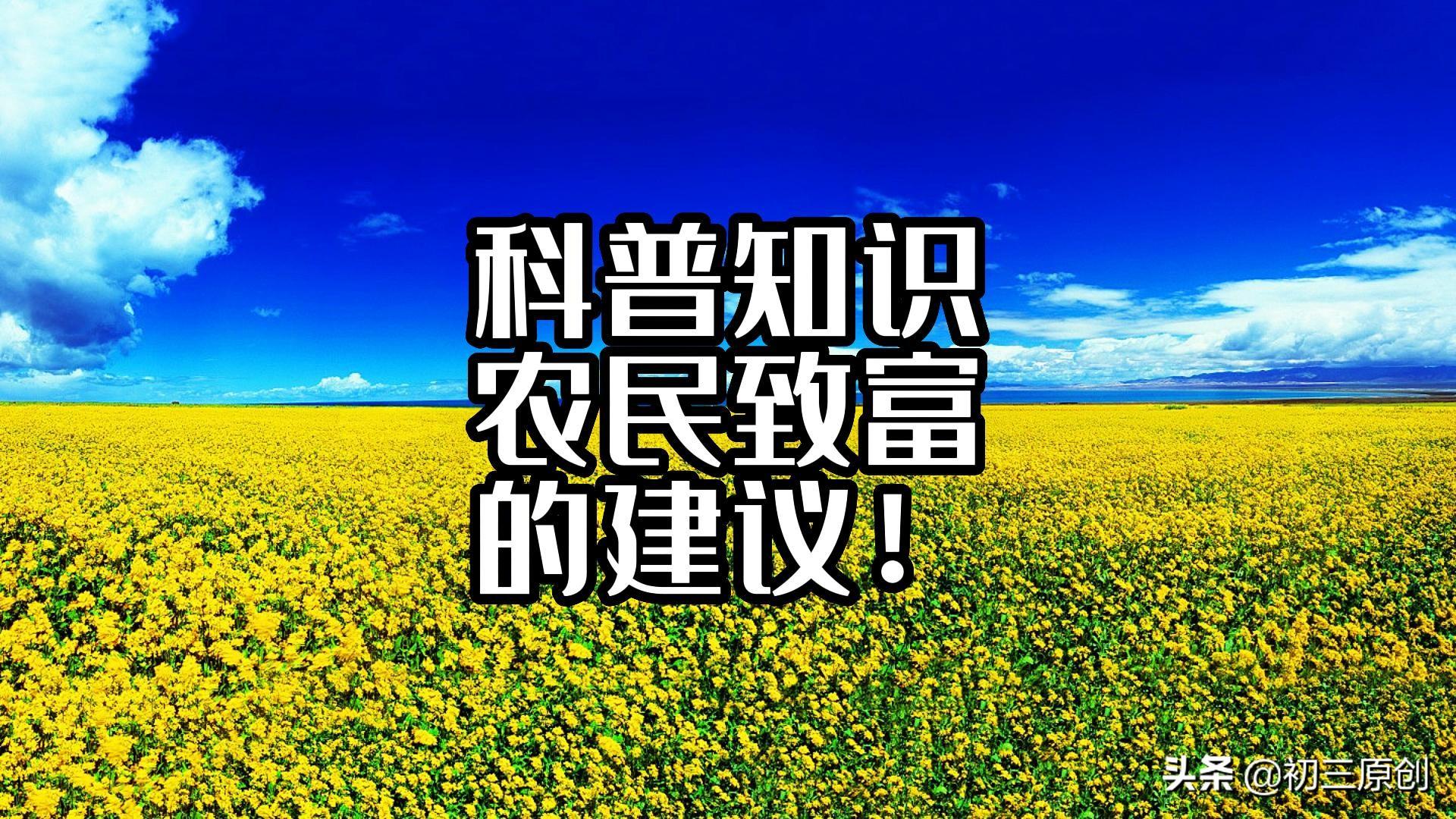 农村怎么致富(商机网创业好项目)