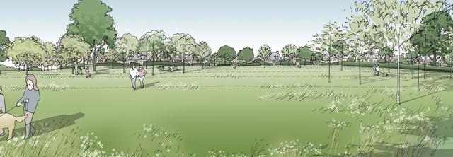 大树的画法简单又漂亮，简单大树的手绘画法（八种超简单背景树的画法+上色）