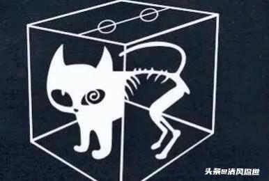 薛定谔的猫理论，简单解释薛定谔的猫（死亡实验——薛定谔的猫）