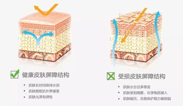 脸部能天天热敷吗，热敷脸有哪些功效与作用（面膜可以天天敷吗）