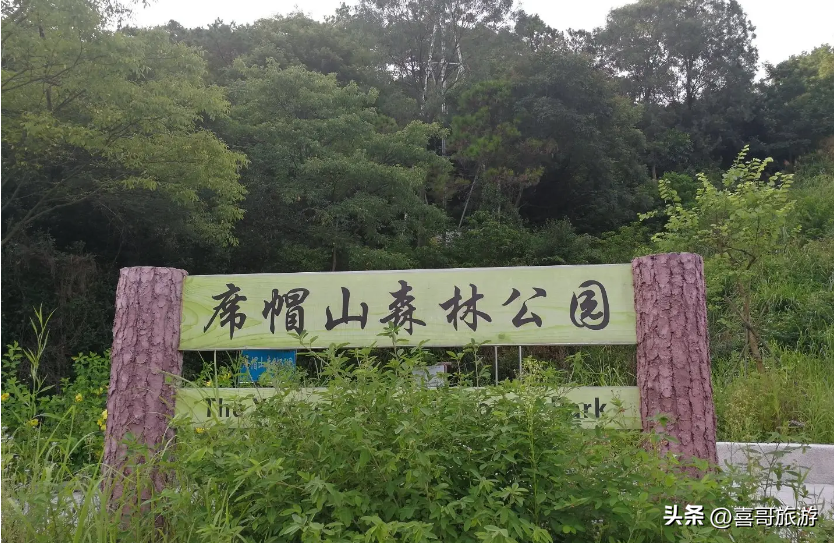 江门市蓬江区(江门市蓬江区地图高清版最新)