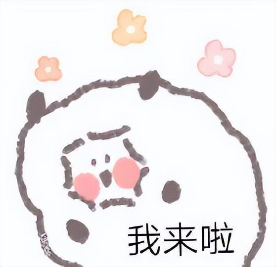好看的表情包(10000种表情包图片大全)