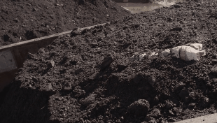 烈日灼心真实事件原型，烈日灼心故事原型（连葛优都救不了的烂片）